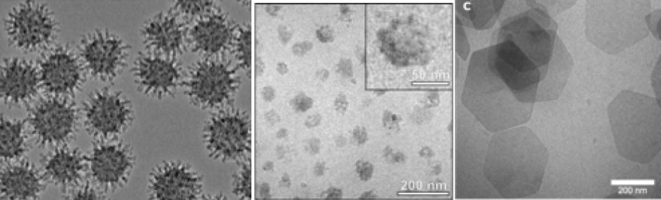 virus-like mesporous silica (Left), microgels (Middle), and nanoclays (Right).